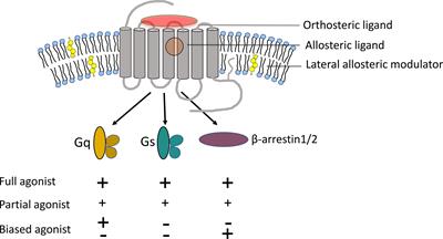 Roles of Cholecystokinin in the Nutritional Continuum. Physiology and Potential Therapeutics